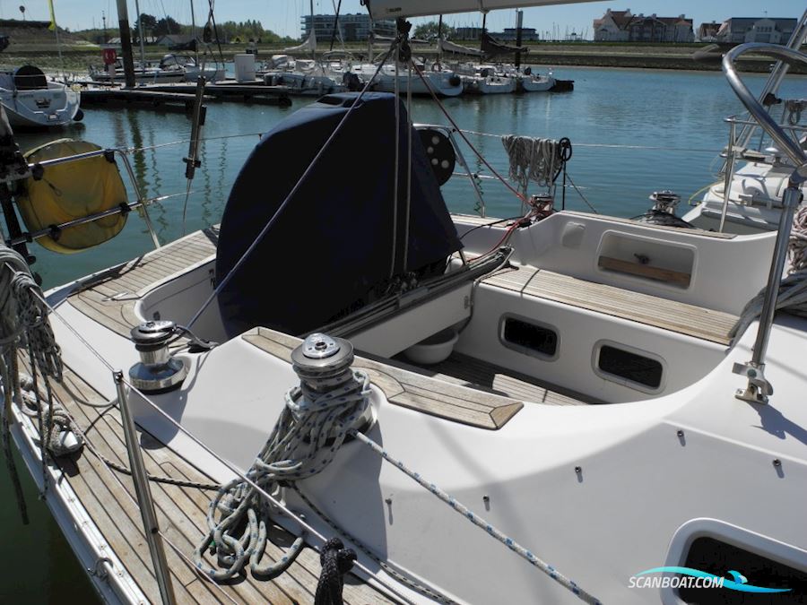 Finngulf 41