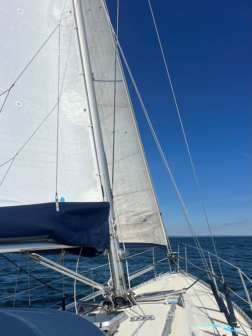 Forgus 31