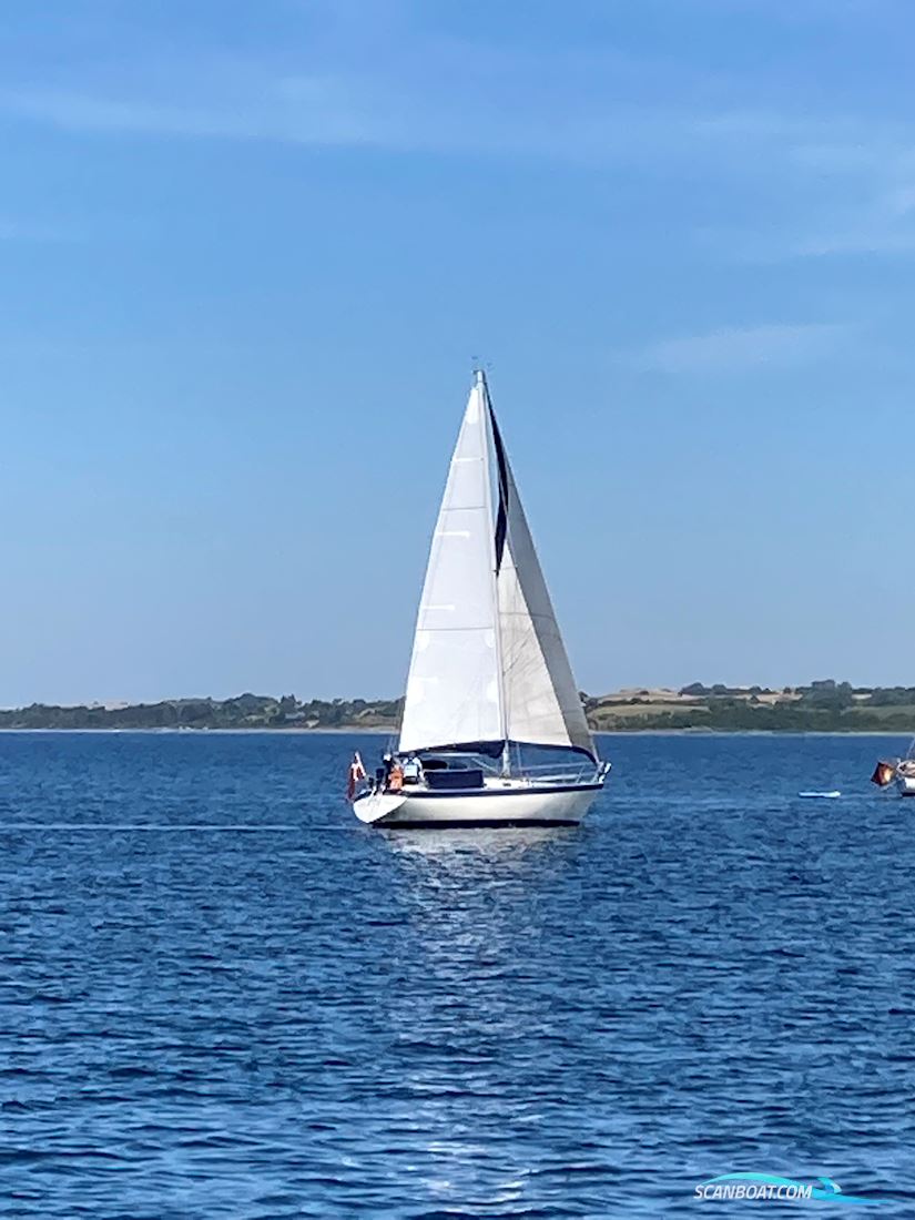 Forgus 31