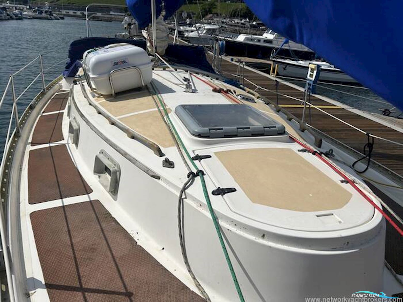 Freedom 35