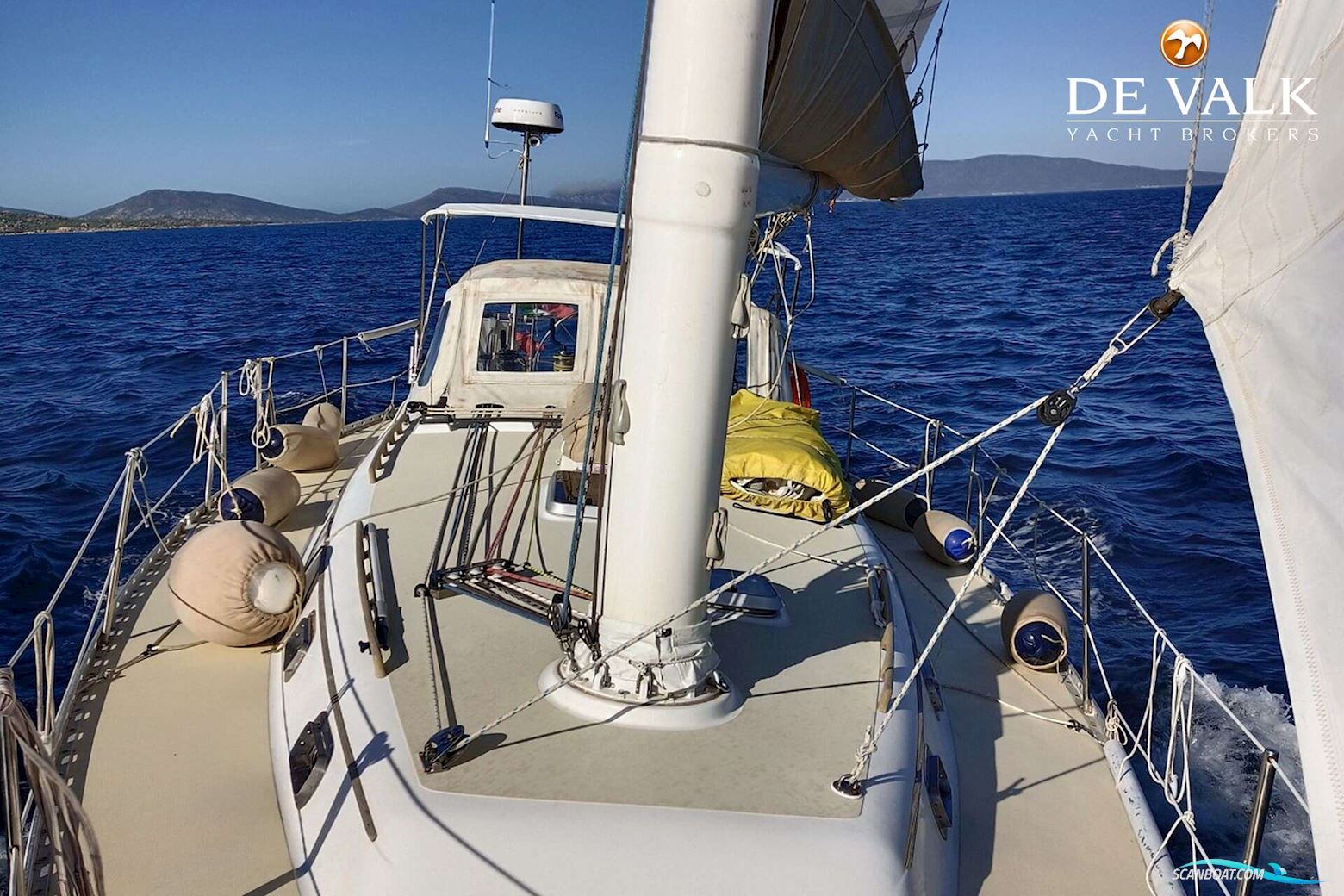 Freedom 38