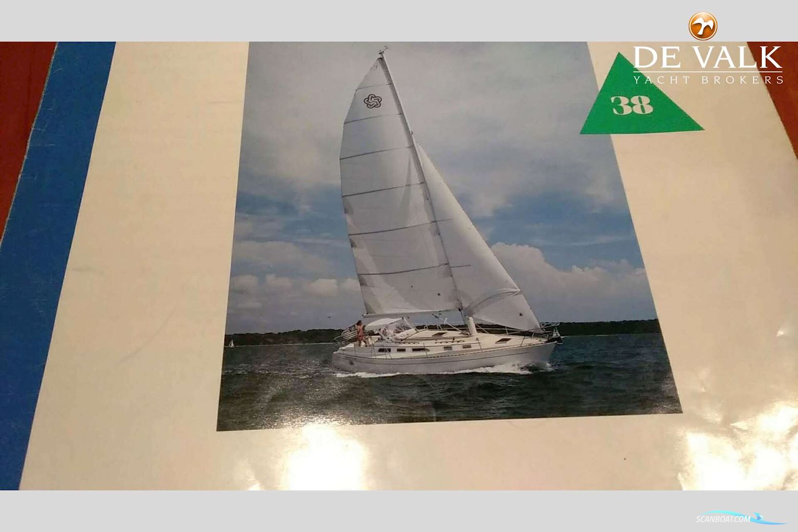 Freedom 38
