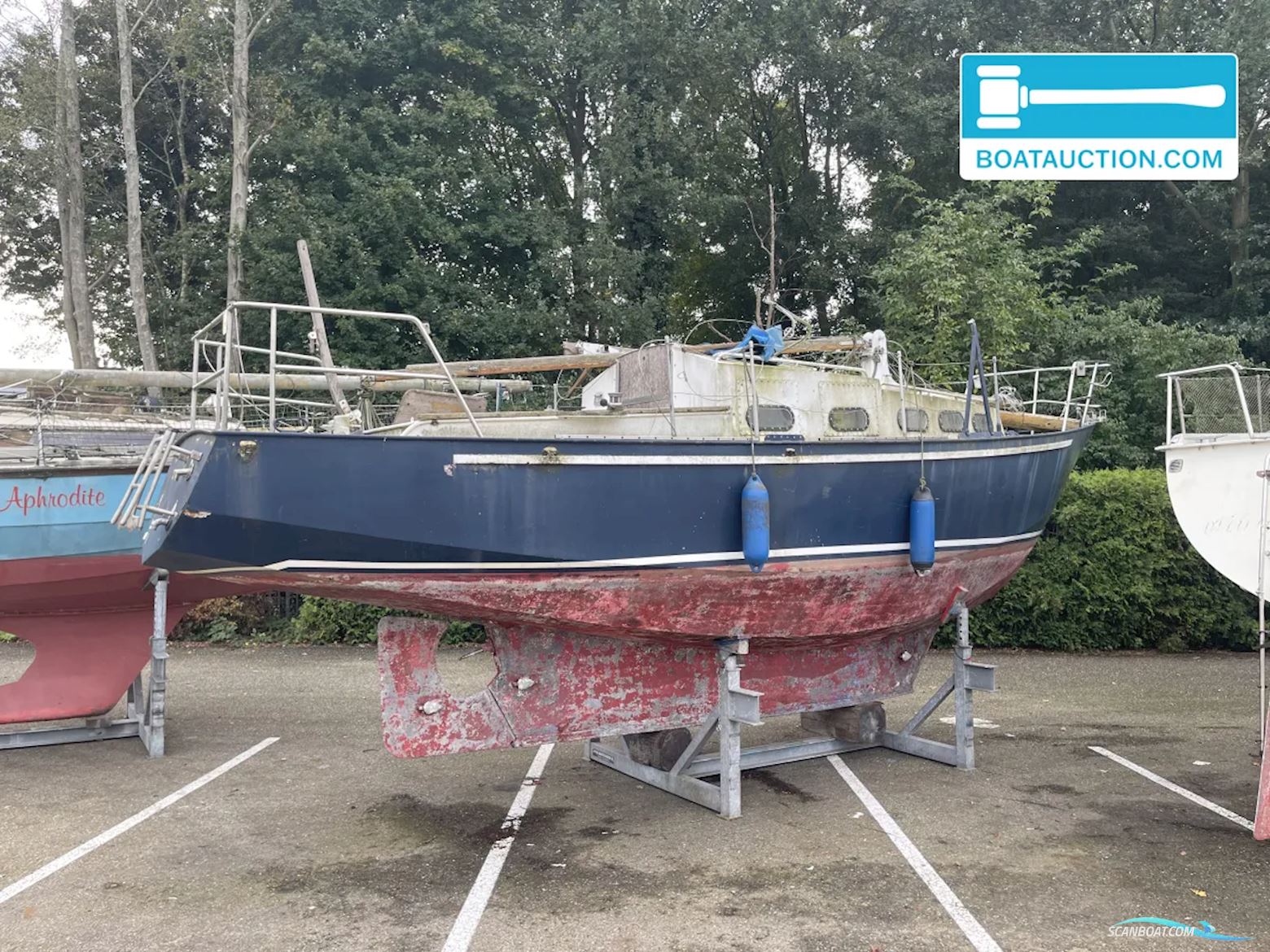 Friesland 860