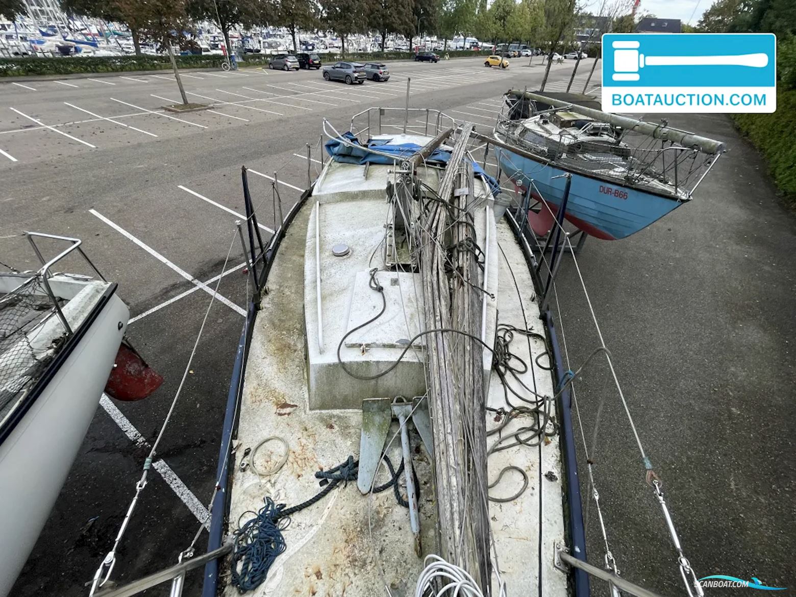 Friesland 860