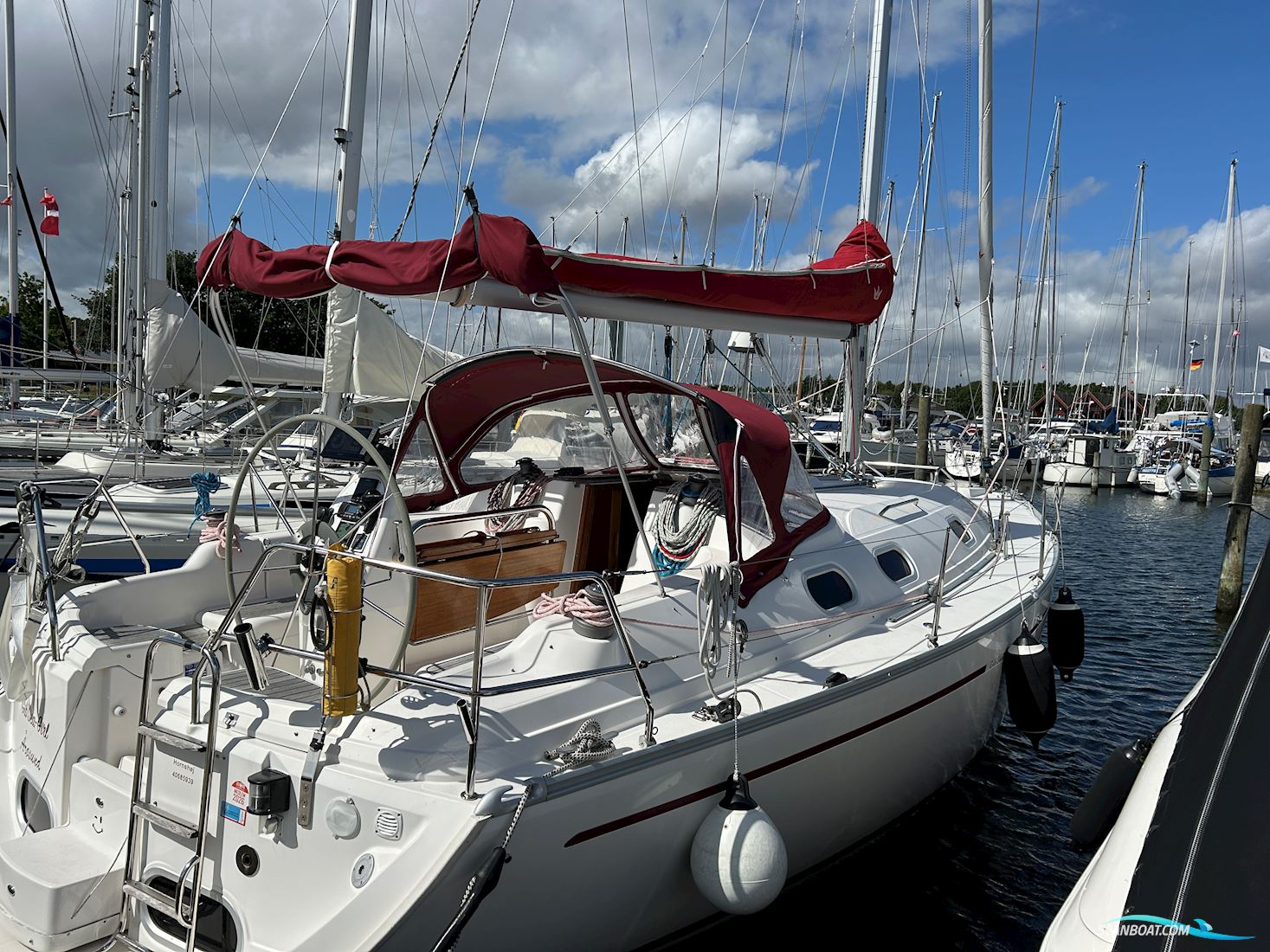 Gibsea 37