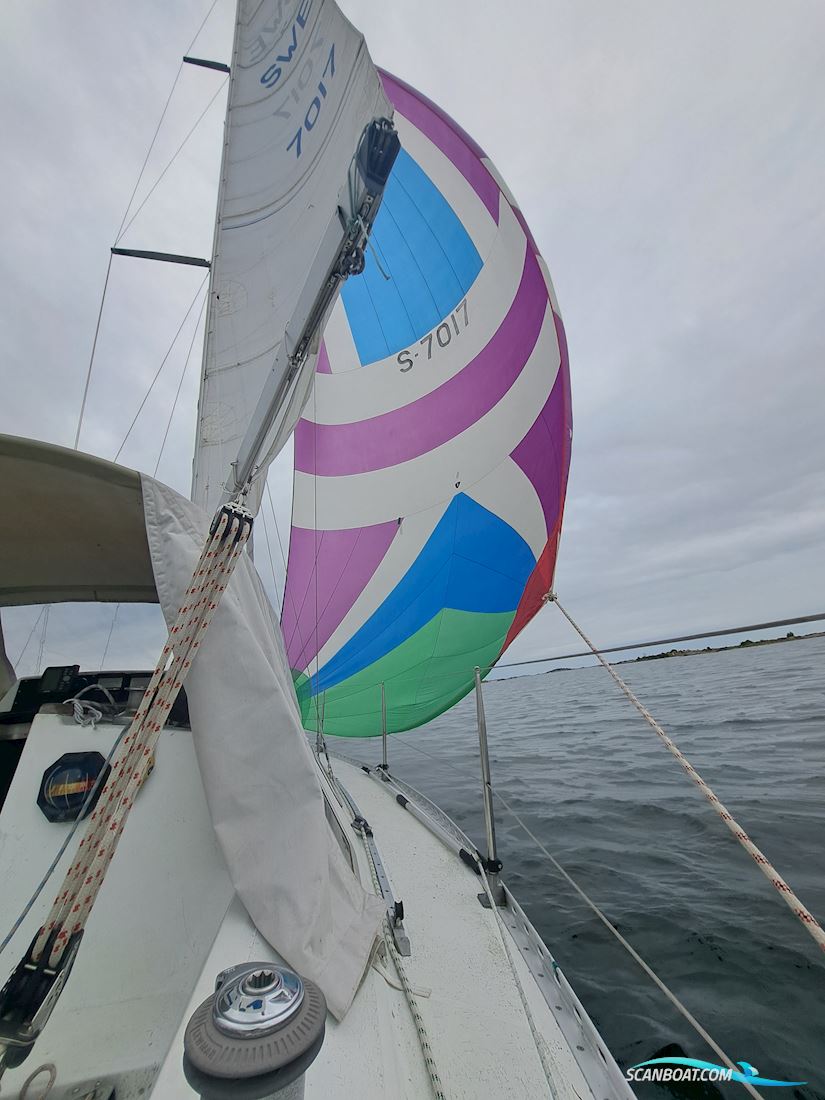 Gibsea 92