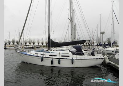 Grampian 34 MK2 Sejlbåd 1979, med Volvo Penta motor, Holland