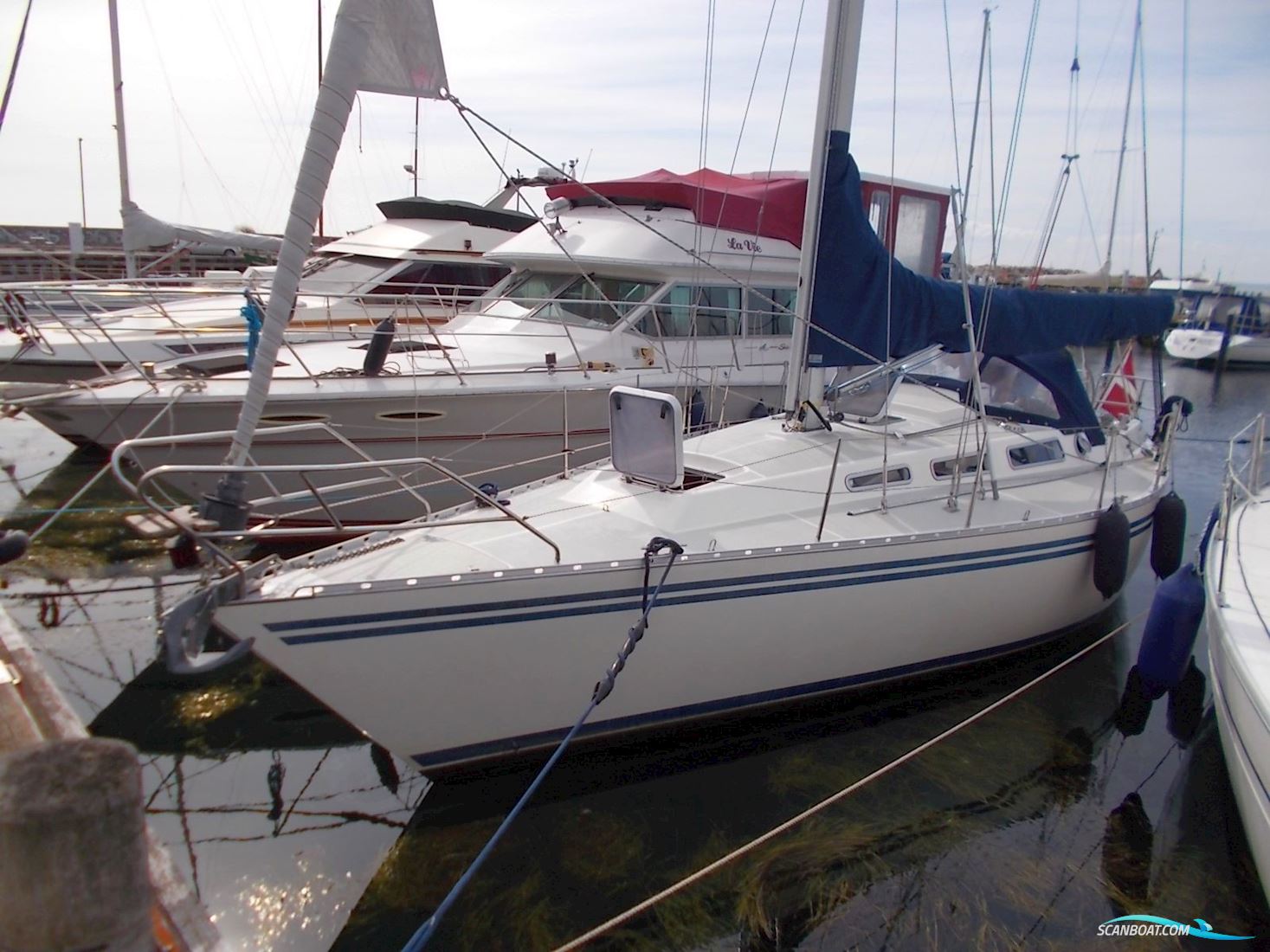 Granada 375 Atlantic Sejlbåd 1987, med Volvo Penta 2003 motor, Danmark