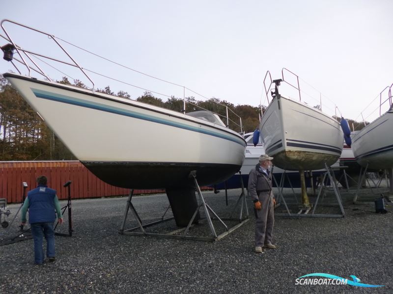 Granada 910 Sejlbåd 1984, med Volvo Penta MD motor, Danmark