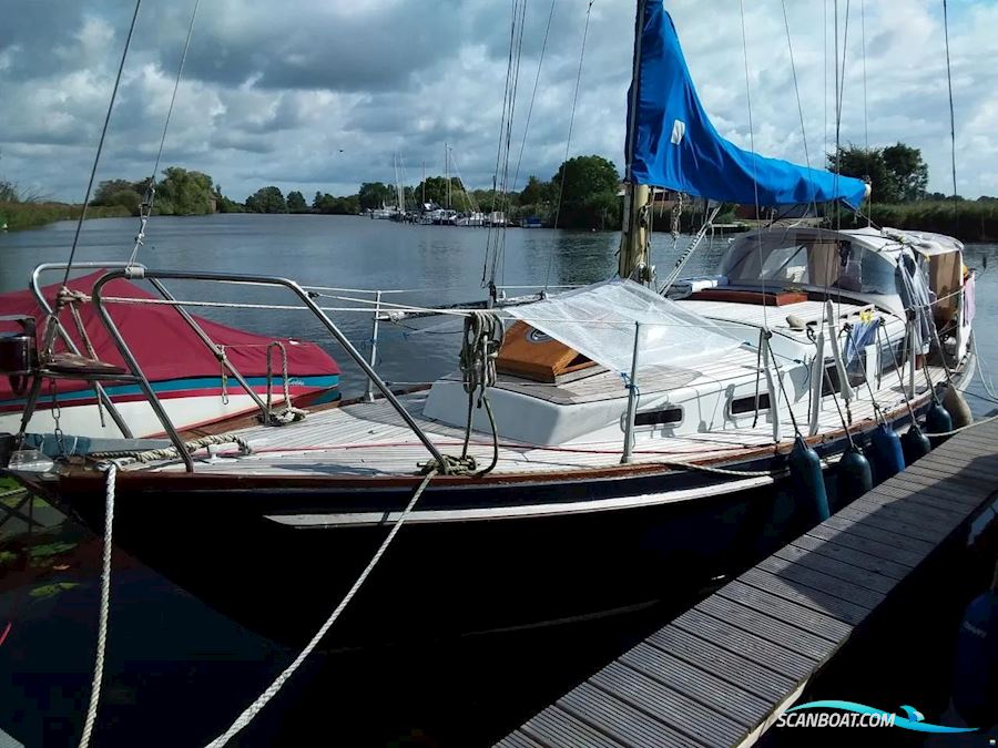 Great Dane 28