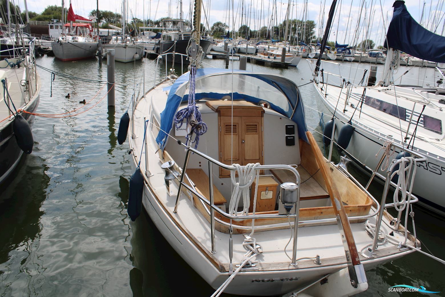 Great Dane GD 28