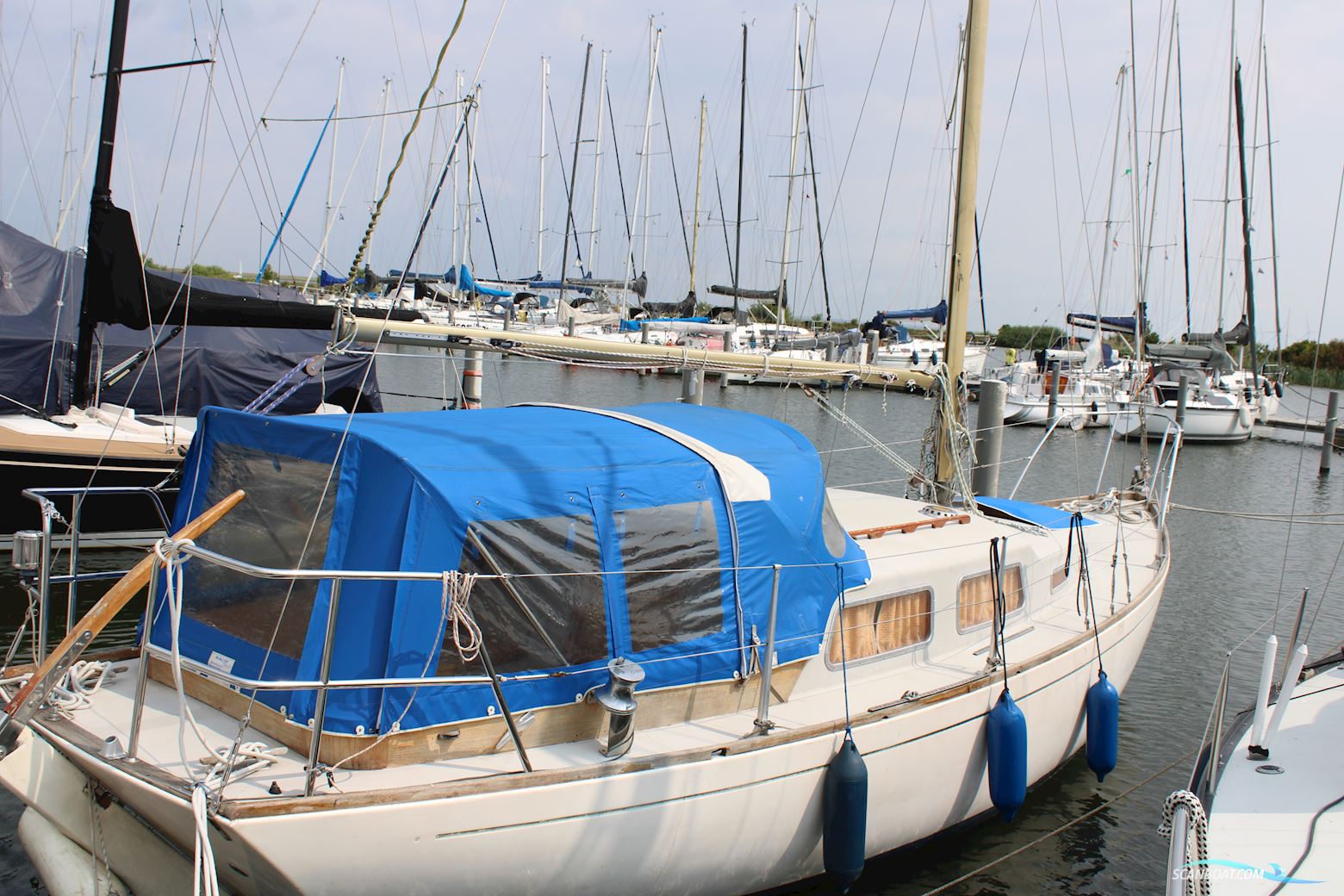 Great Dane GD 28