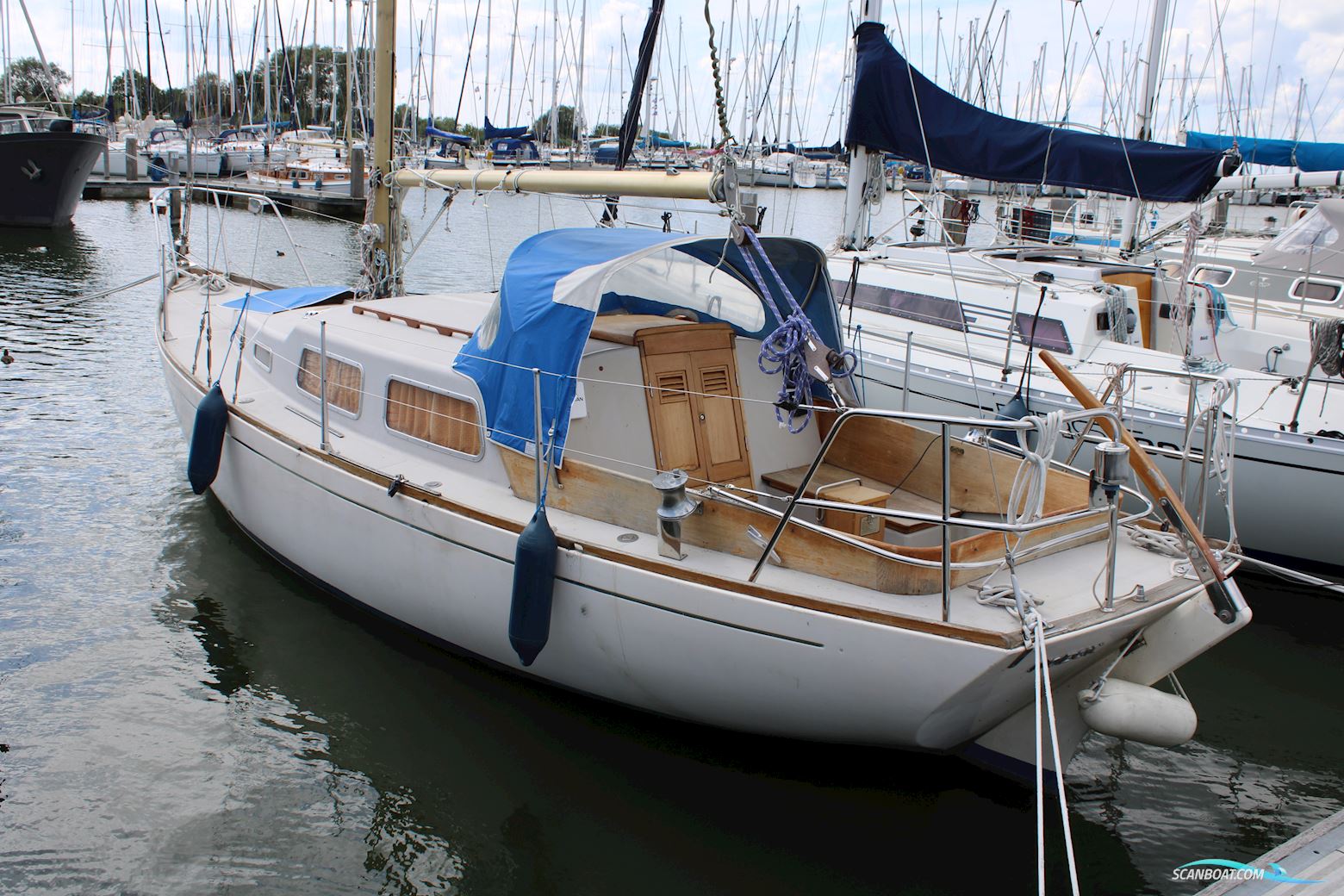 Great Dane GD 28