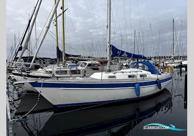 Hallberg Rassy 29 Scandinavia Sejlbåd 1984, med Volvo Penta 2002 motor, Danmark