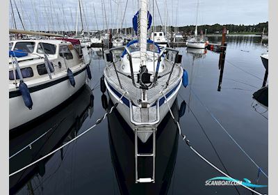 Hallberg Rassy 29 Scandinavia Sejlbåd 1984, med Volvo Penta 2002 motor, Danmark