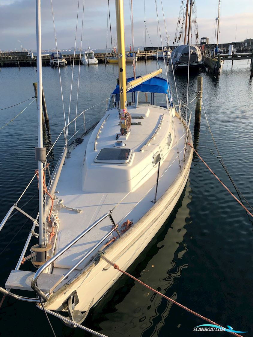Hallberg Rassy 31 - Monsun