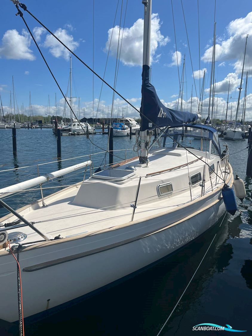 Hallberg Rassy 31 Monsun Sejlbåd 1976, med Volvo Penta D1-30 motor, Danmark