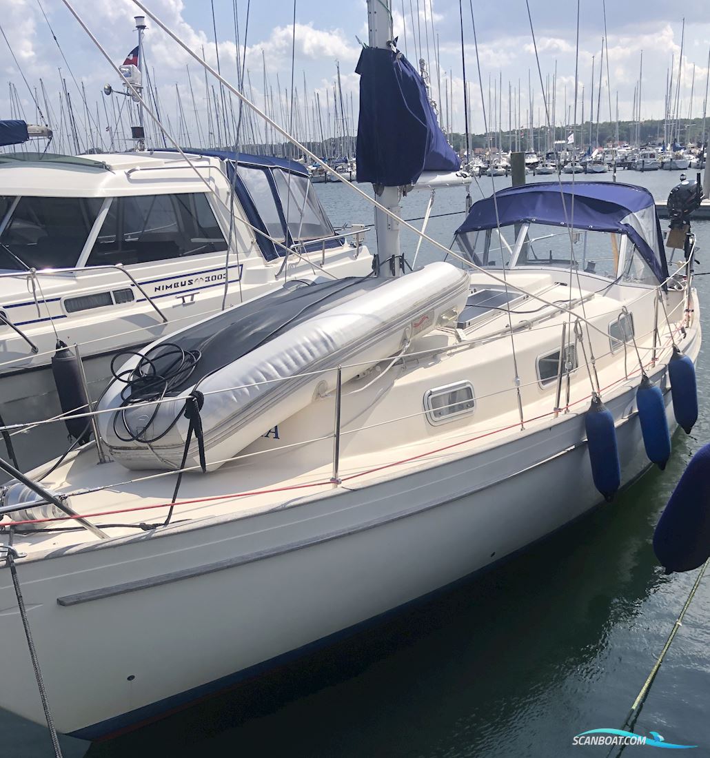 Hallberg-Rassy 31 Monsun Sejlbåd 1976, med Yanmar 3YM30 motor, Danmark