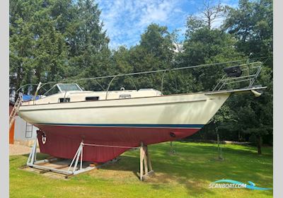 Hallberg-Rassy 31 Monsun Sejlbåd 1974, med Volvo Penta motor, Danmark