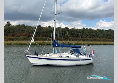 Hallberg Rassy 31 Sejlbåd 1994, Holland