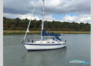 Hallberg Rassy 31 Sejlbåd 1994, Holland