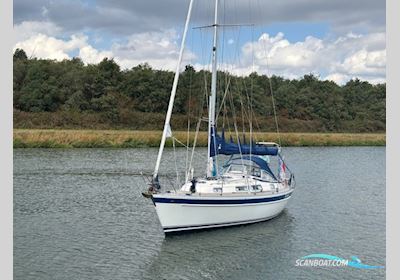 Hallberg Rassy 31 Sejlbåd 1994, Holland