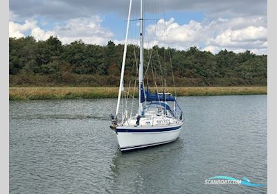 Hallberg Rassy 31 Sejlbåd 1994, Holland