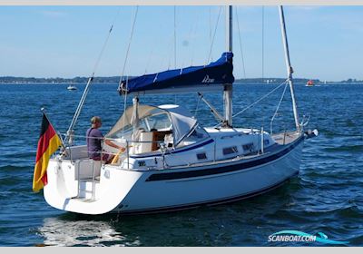 Hallberg-Rassy 310 Sejlbåd 2009, med Yanmar 3YM20 motor, Tyskland
