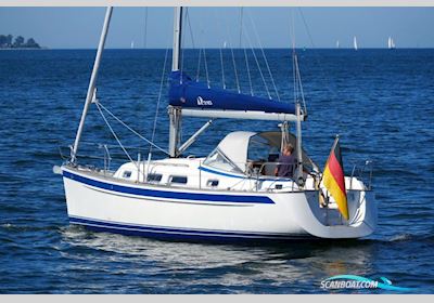 Hallberg-Rassy 310 Sejlbåd 2009, med Yanmar 3YM20 motor, Tyskland