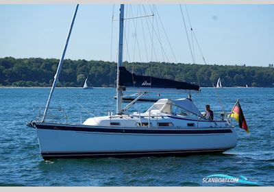 Hallberg-Rassy 310 Sejlbåd 2009, med Yanmar 3YM20 motor, Tyskland