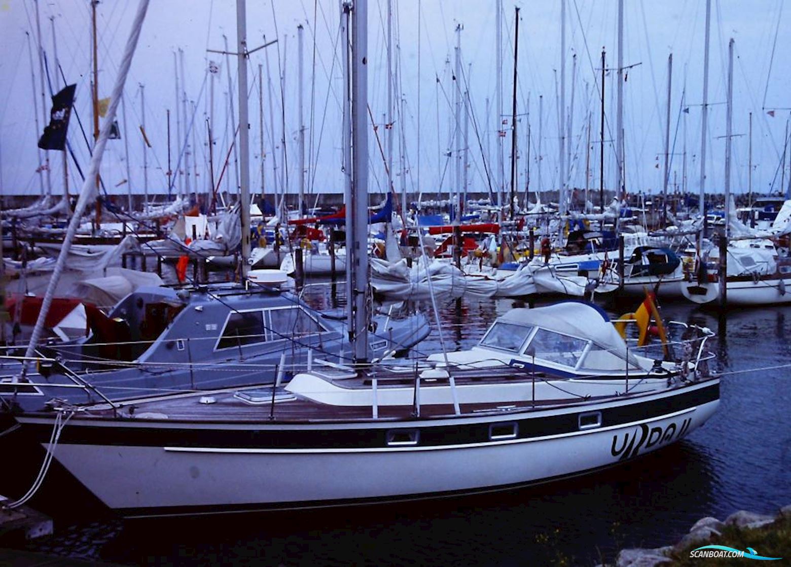 Hallberg-Rassy 312 -Verkauft- Sejlbåd 1986, med Volvo Penta 2003 motor, Tyskland