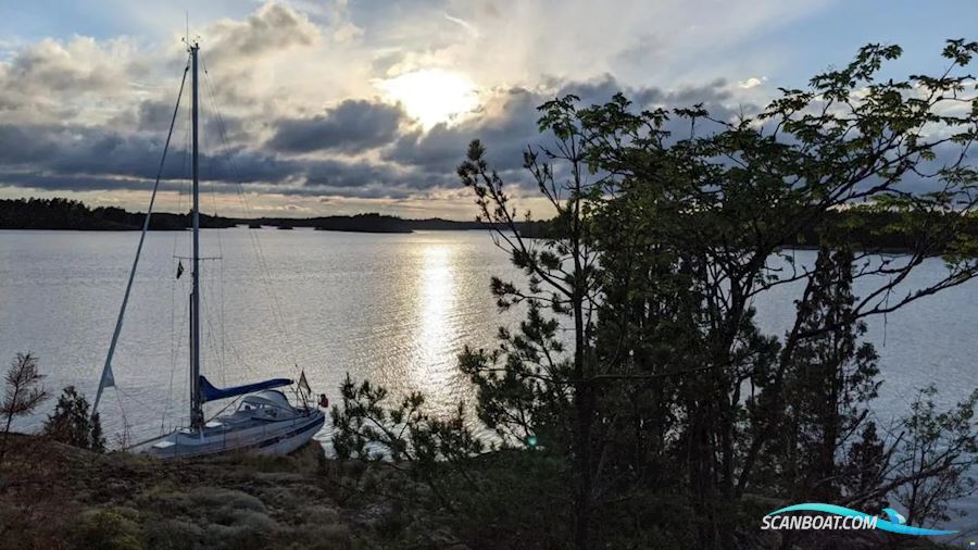 Hallberg-Rassy 312 Sejlbåd 1981, med Volvo Penta MD11 motor, Tyskland