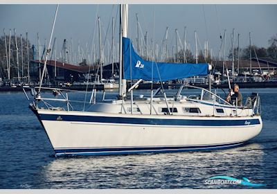 Hallberg Rassy 34 Sejlbåd 1996, Holland