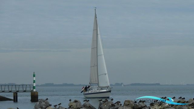 Hallberg Rassy 34