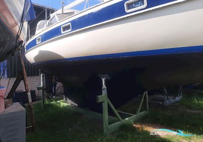 Hallberg-Rassy 352 Sejlbåd 1981, med Volvo Penta MD21 motor, Tyskland