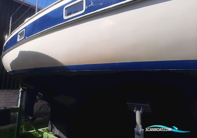 Hallberg-Rassy 352 Sejlbåd 1981, med Volvo Penta MD21 motor, Tyskland