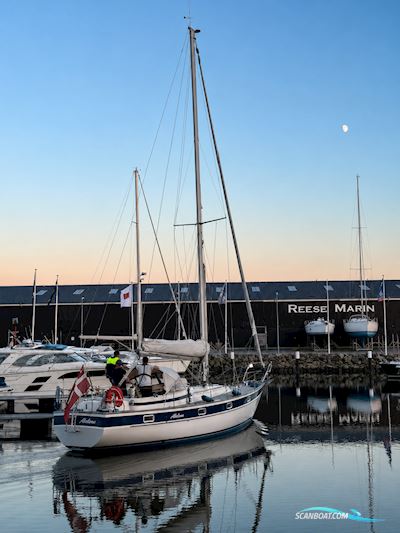 Hallberg Rassy 352 Sejlbåd 1985, Danmark