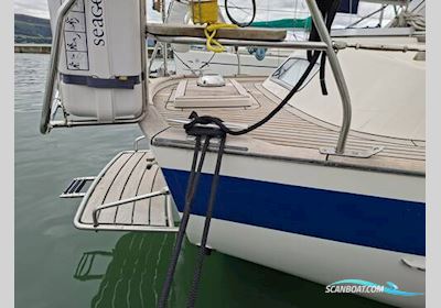 Hallberg Rassy 36 Sejlbåd 1990, med Volvo Penta MD22 motor, Irland