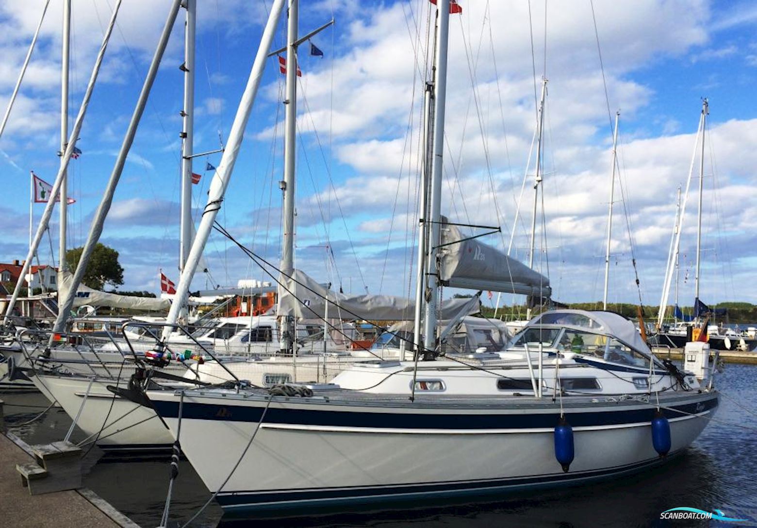 Hallberg-rassy HR 31 Scandinavia