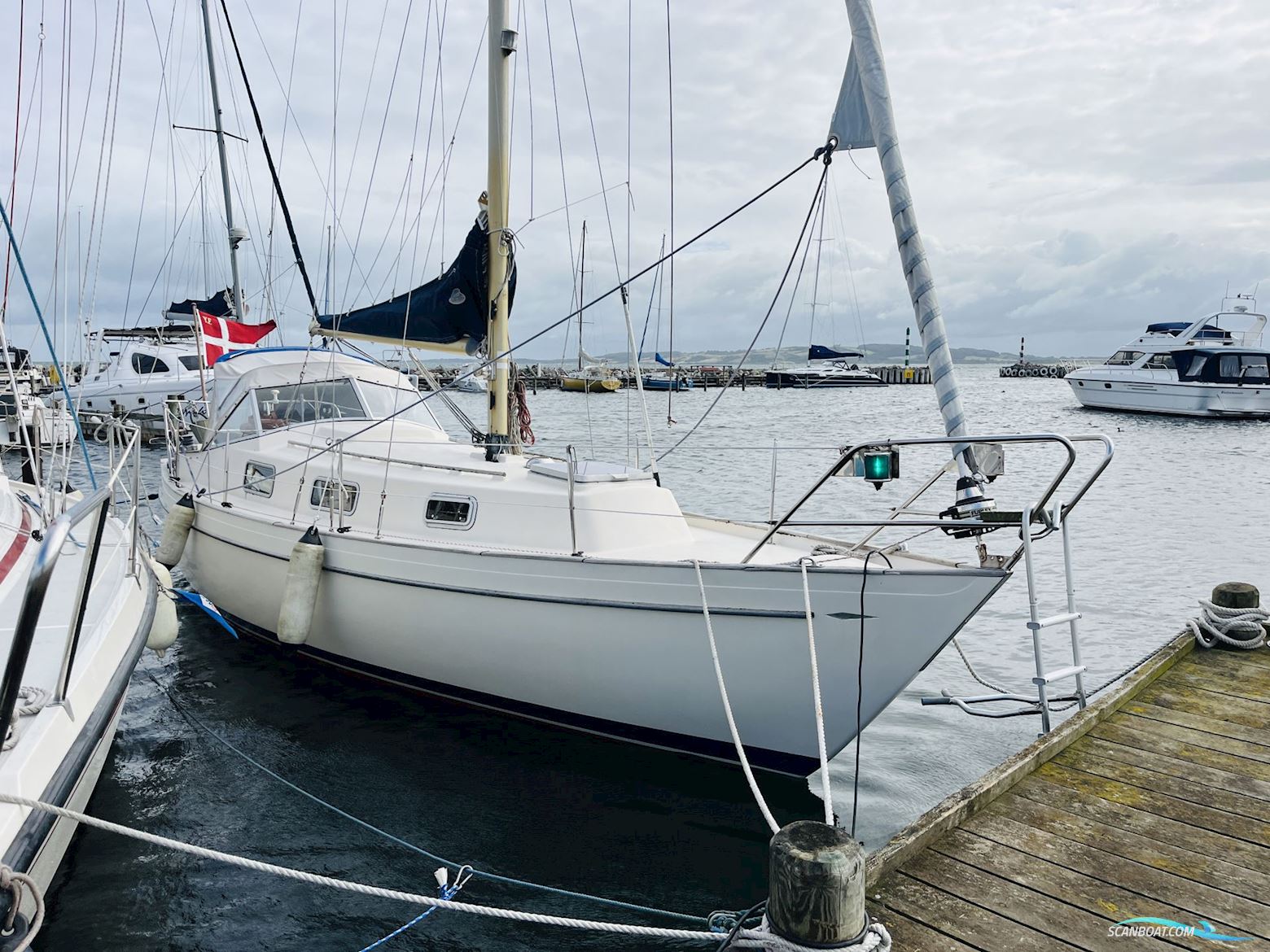 Hallberg-Rassy Monsun 31 Sejlbåd 1974, med Volvo Penta D1-30B motor, Danmark