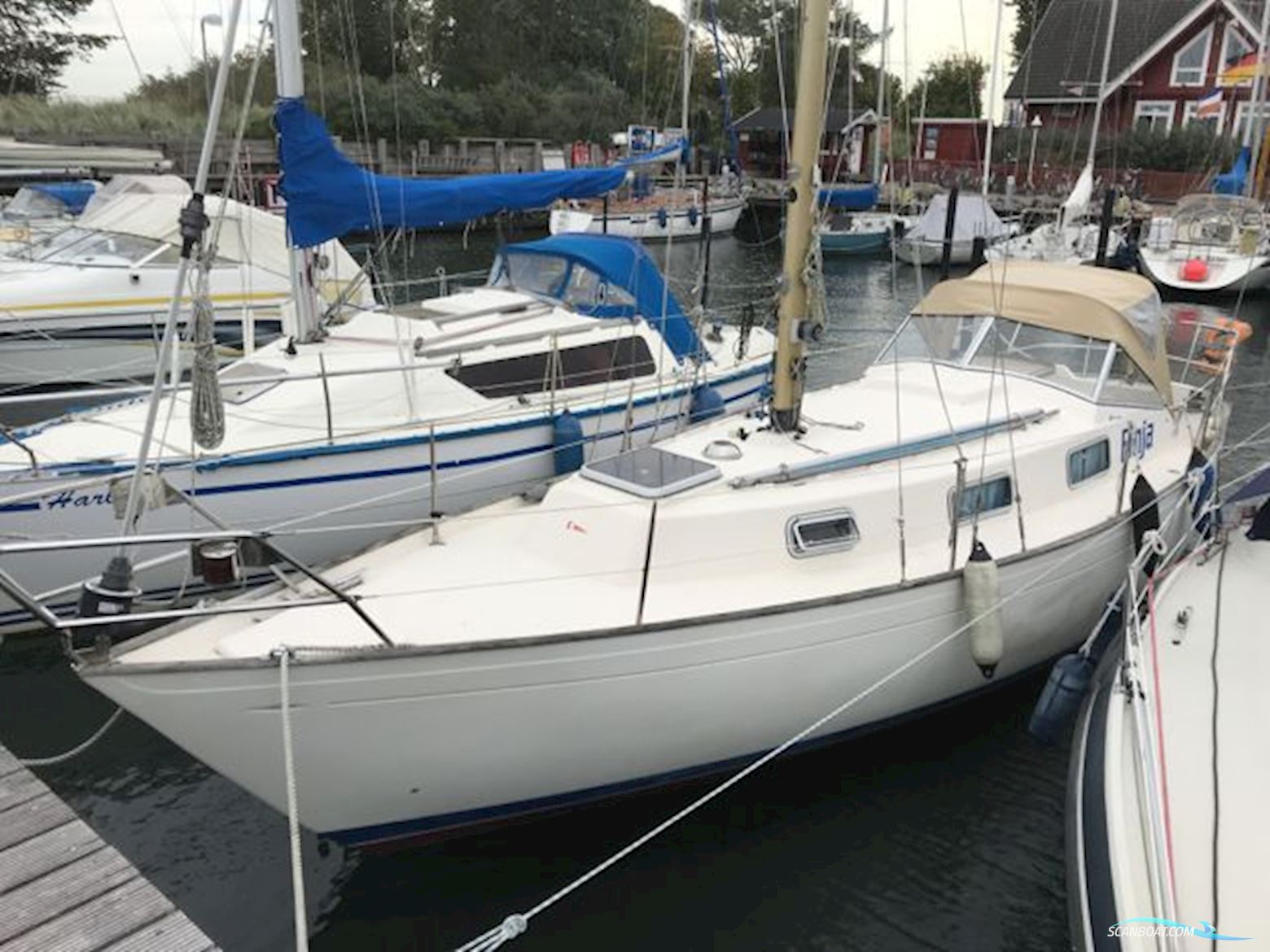 Hallberg-Rassy Monsun 31 Sejlbåd 1976, med Volvo Penta D2-40 motor, Tyskland