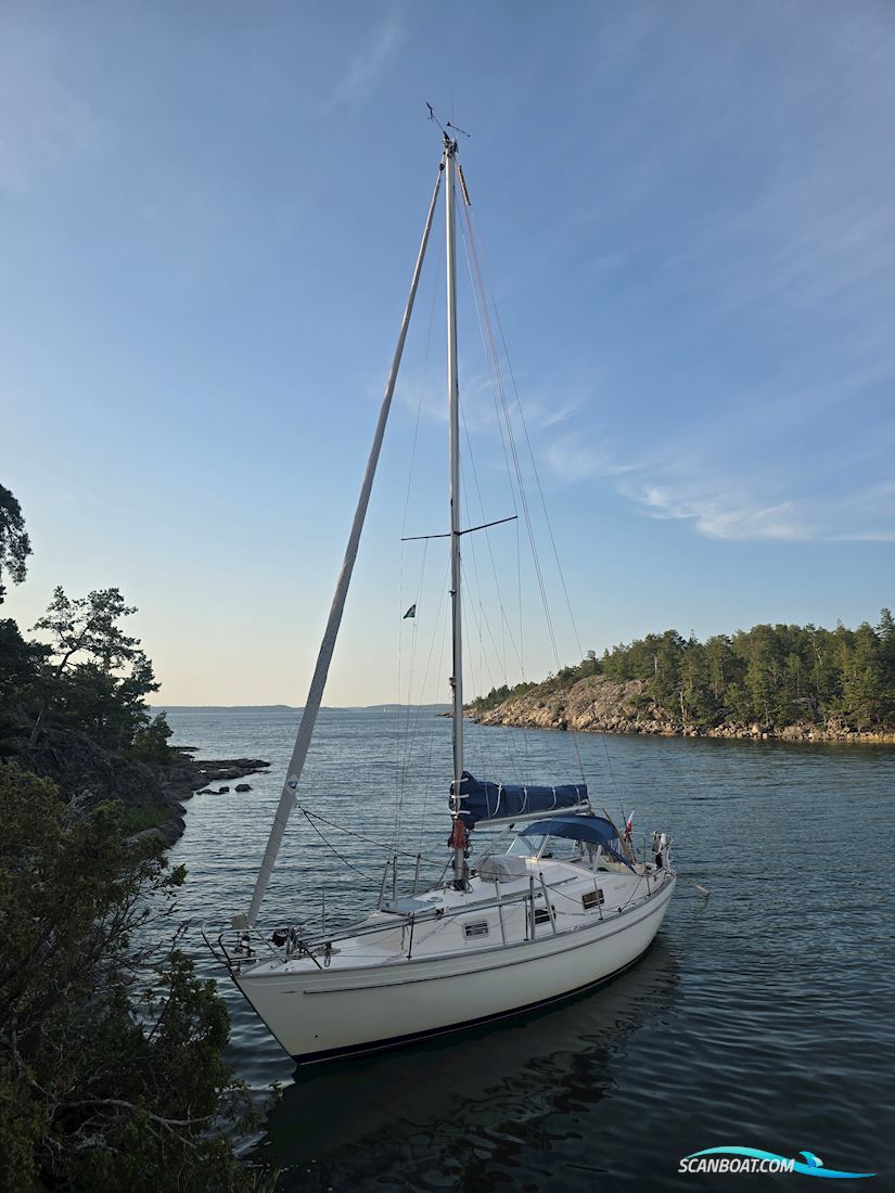 Hallberg-Rassy Monsun 31