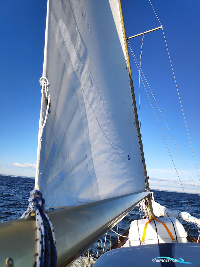 Hallberg-Rassy P 28