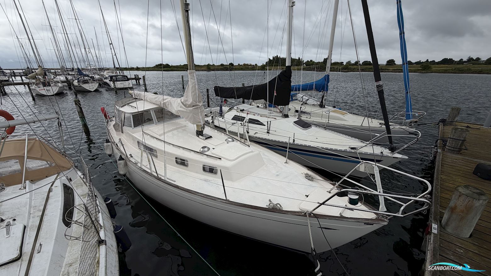 Hallberg-Rassy Rasmus 35