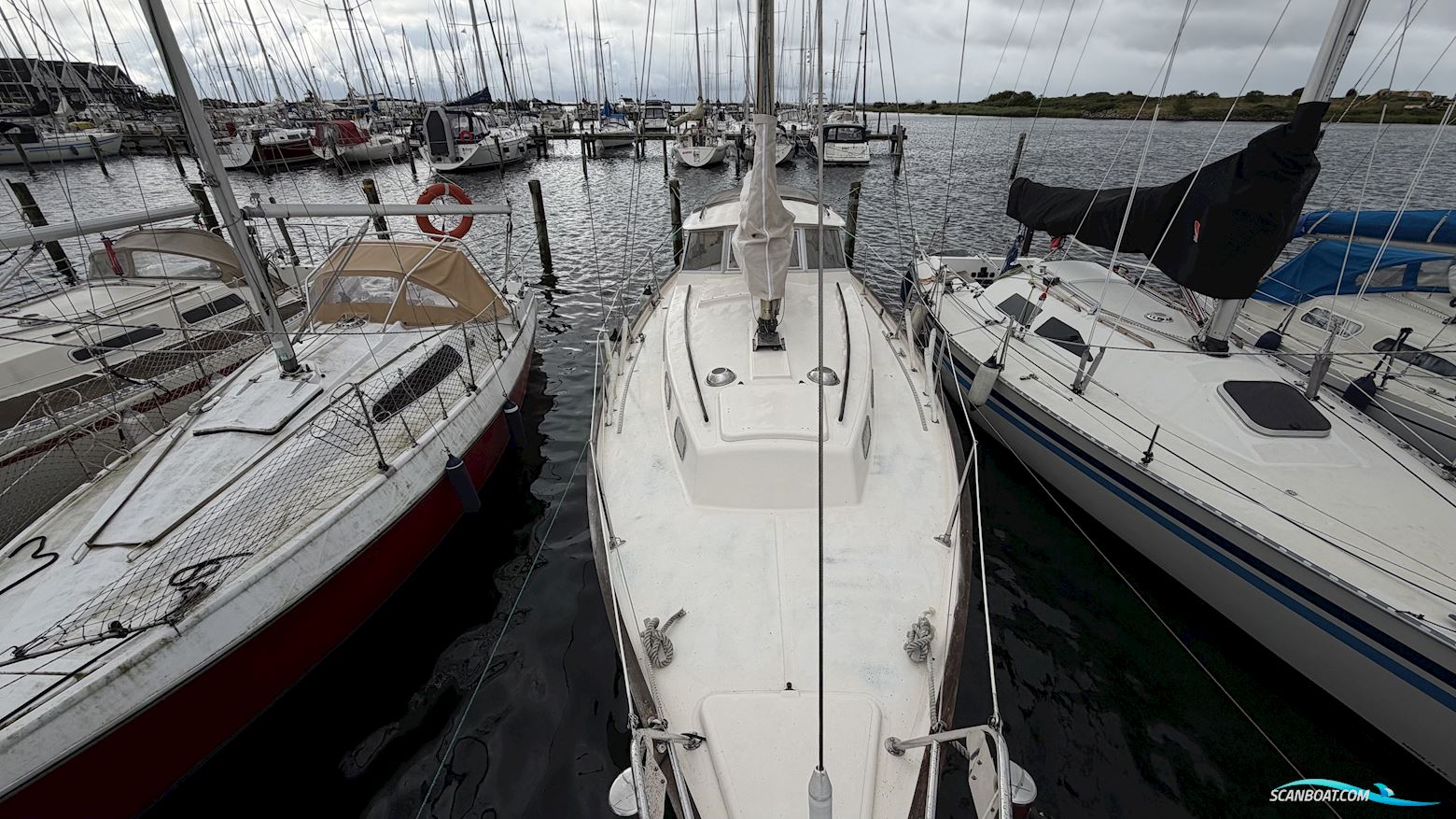 Hallberg-Rassy Rasmus 35