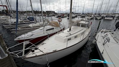 Hallberg-Rassy Rasmus 35 Sejlbåd 1974, Danmark