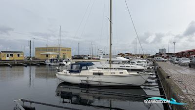 Hallberg Rassy Rasmus 35 Sejlbåd 1975, Danmark