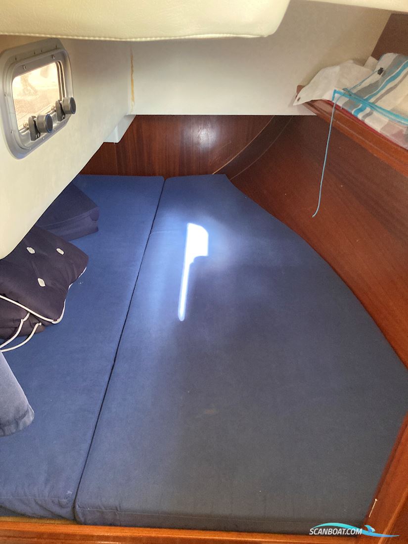 Hanse 371