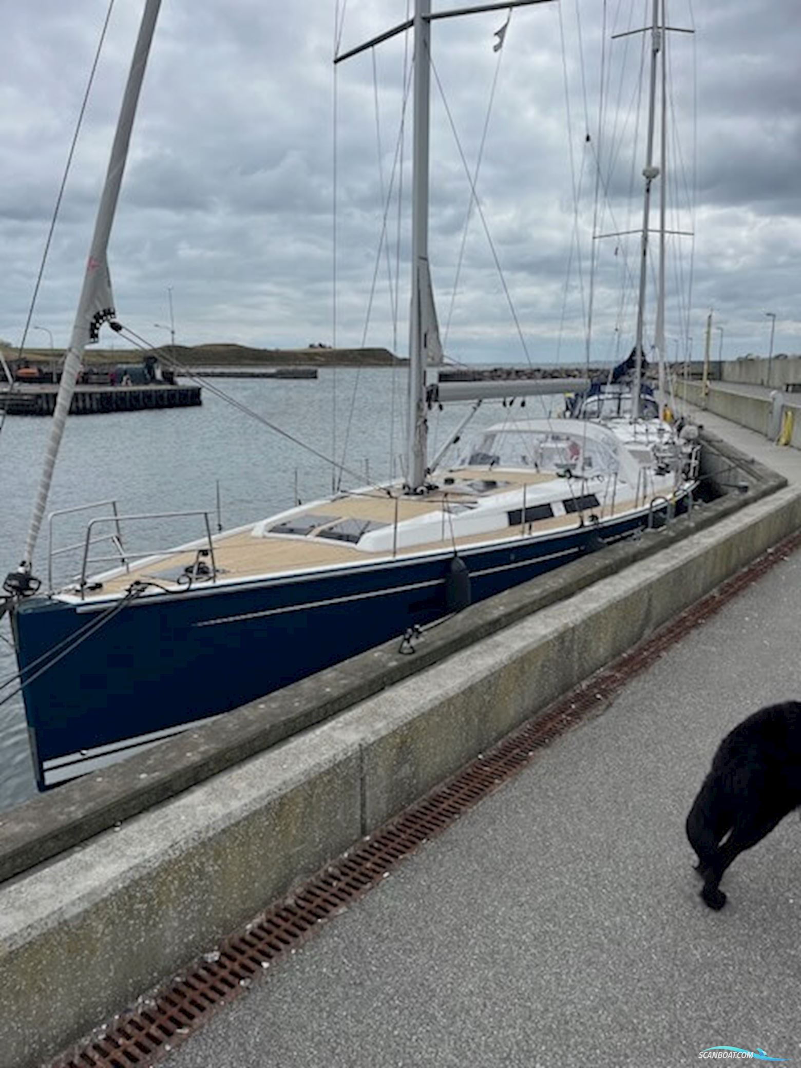 Hanse 455 "Queen B" - 2017