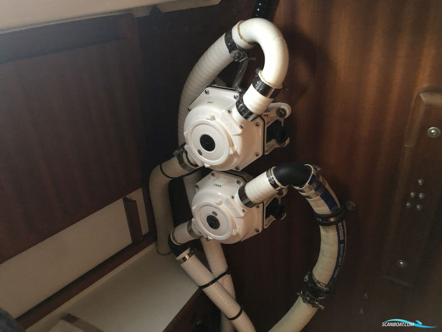 Hanseat 70B2